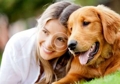Are Two Pets Better Than One?