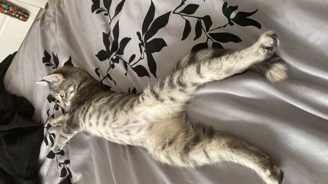 All Stretched Out