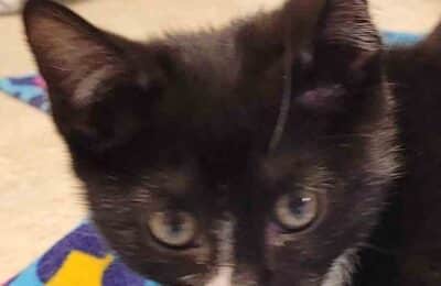 Sophia