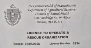 License 2026